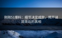 刚刚51爆料：细节决定成败，揭开谜团背后的真相