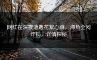 网红在深夜遭遇花絮心跳，海角全网炸锅，详情探秘