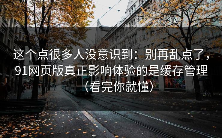 这个点很多人没意识到：别再乱点了，91网页版真正影响体验的是缓存管理（看完你就懂）